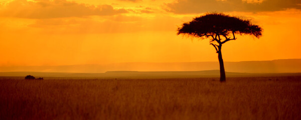 10月去非洲天气_非洲十月温度_非洲好玩吗