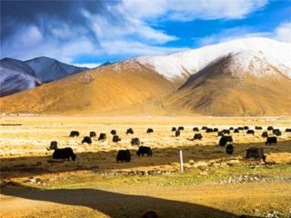 組團(tuán)去西藏_到西藏旅游多少錢_西藏報(bào)團(tuán)旅游多少錢