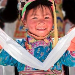 小交通模块 