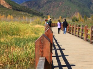 最近去成都旅游_去成都旅游网络_几月份去成都旅游好