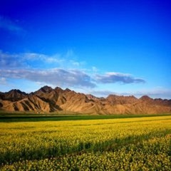 小交通模块 