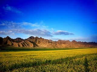 組團(tuán)去西藏_到西藏旅游多少錢_西藏報(bào)團(tuán)旅游多少錢