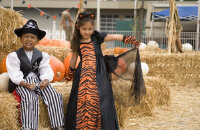 新奥尔良狂欢节