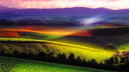 青森-北海道-札幌-富良野-小樽-登别-函馆9日游