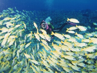 广州直飞美娜多6日半自助游 班达尼莫公园,布