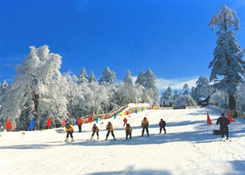 瓦屋山冰雪节      瓦屋山冬季是南国观森林冰雪的最佳旅游胜地.