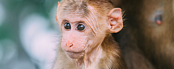峨眉山穿衣指南_去峨眉山要带什么_去峨眉山
