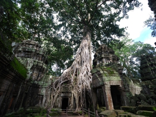 越南胡志明旅游要多少钱2023_越南胡志明旅游需要多少费用_去越南胡志明旅游网络