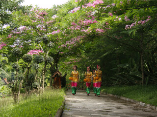 去云南西雙版納旅游多少錢(qián)_云南西雙版納旅游路線_報(bào)團(tuán)去云南西雙版納多少錢(qián)