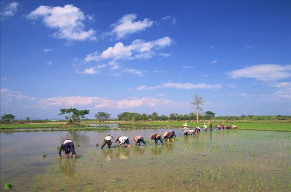 泰国哪里好玩_甲米怎么样_甲米好玩吗