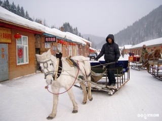 哈尔滨8天游_哈尔滨报团旅游价格_旅游团哈尔滨