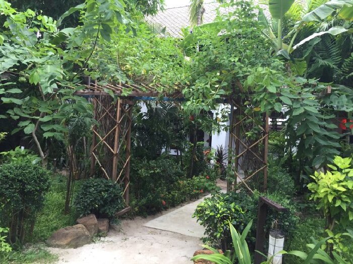 两个英语小白的甜蜜苏梅之旅