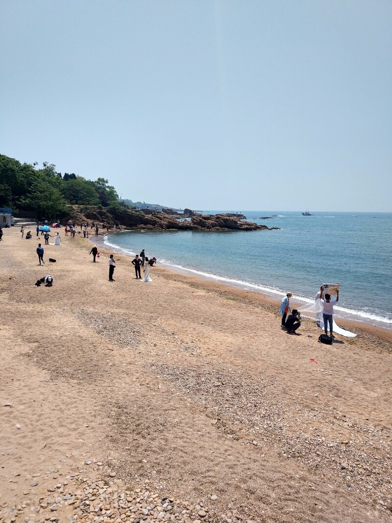 5.20,我要在青岛太平角的海边为你种下漫天的玫瑰