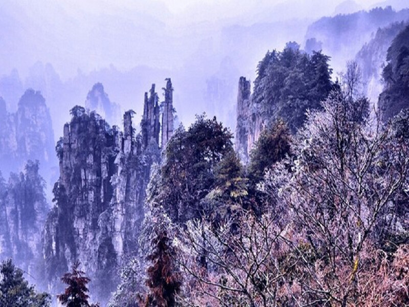 天子山雪景