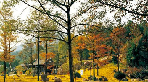  四明山商量岗景区-洲际自助晚餐自驾2日游>宿宁波洲际酒店