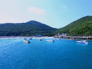 報團去泰國多少錢_旅游團泰國_泰國旅游團報價自由行