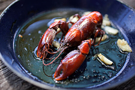 food_picture