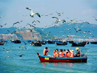 大連游花多少錢_香港旅游團大連_大連旅游多少錢
