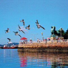 景点模块 