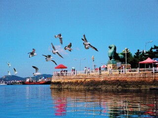 到大連旅游_大連自由行費(fèi)用_大連自由行組團(tuán)