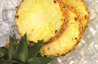 参观大菠萝种植园 