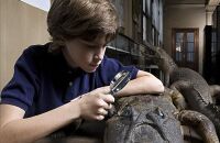 参观玩具博物馆