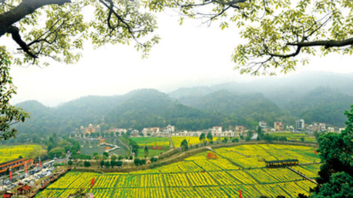 花都梯面红山村