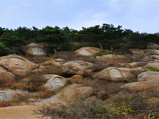 阜新海棠山汽车1日游>沈阳出发