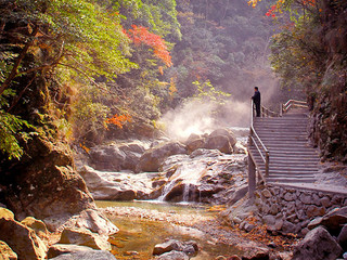  武义牛头山景区-梦温泉 自驾2日游>宿武义牛头山山里人家度假村