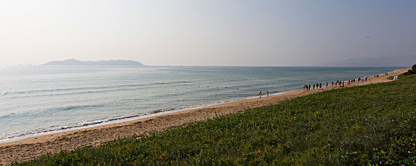 picture