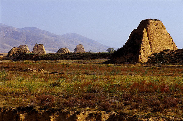 阳高县