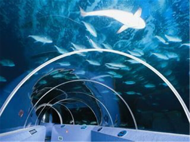 壁纸 海底 海底世界 海洋馆 水族馆 640_480