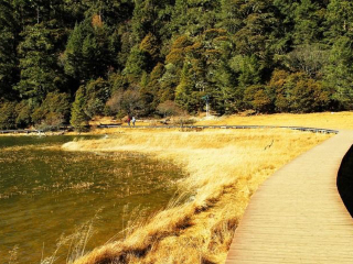 云南香格里拉游跟團(tuán)多少錢_云南香格里拉旅游價(jià)格_2021去云南香格里拉跟團(tuán)多少錢
