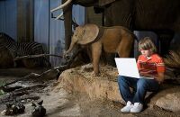 参观布里斯托尔博物馆和美术馆 