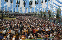 参加德国啤酒节