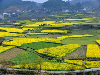 桂林游組團(tuán)_幾月份去桂林旅游好_桂林旅游多少錢
