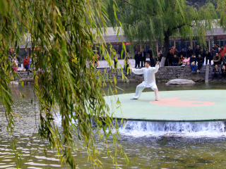 河南少林寺報(bào)團(tuán)多少錢(qián)_河南少林寺旅游大約多少錢(qián)_河南少林寺半自由行