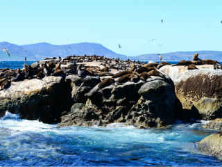 幾月去非洲南非旅游最便宜_非洲南非六日游價格_非洲南非旅游8日游