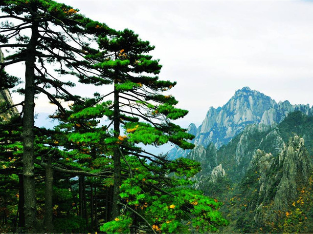 什么什么名山的成语_秋名山车神开的什么车(5)