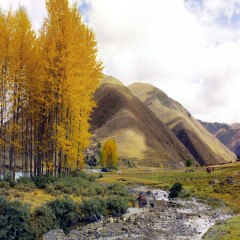 小交通模块 