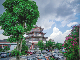 廣西南寧游價格_廣西南寧旅游跟團多少錢_暑假廣西南寧游價格
