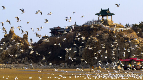 <夜色滦州-北戴河鸽子窝-山海关古城-承德避暑山庄+界河+克什克腾大草原-木兰围场乌兰布统大草原双汽5日游