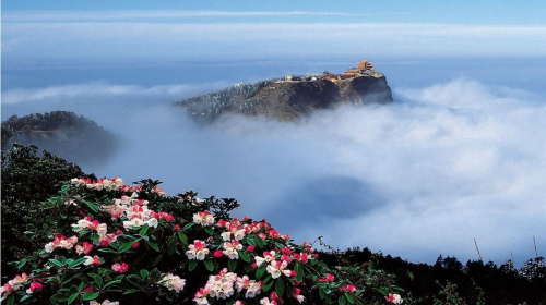 乐山大佛-峨眉山金顶-半山3日游 住金顶一晚、