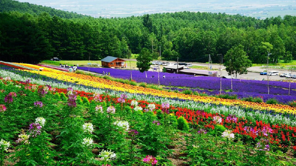 日本东京签证怎么办_日本东京签证办理流程_