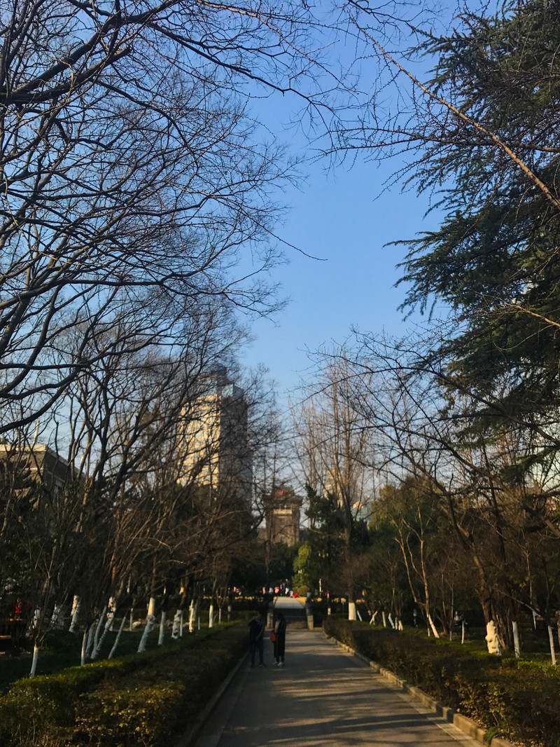 春夏秋冬,年年岁岁,它在风雨中,默默见证着南京大学的历史与发展.