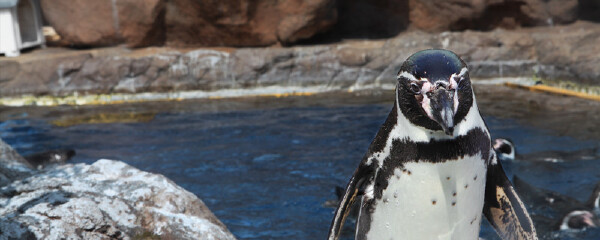 珠海长隆海洋王国5月天气怎么样_海洋王国5月