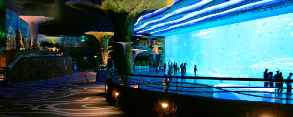 珠海长隆海洋王国5月天气怎么样_海洋王国5月