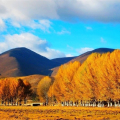 小交通模块 