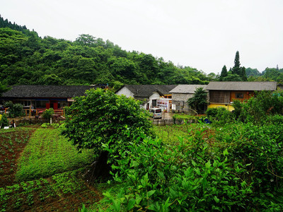 丁香榕村