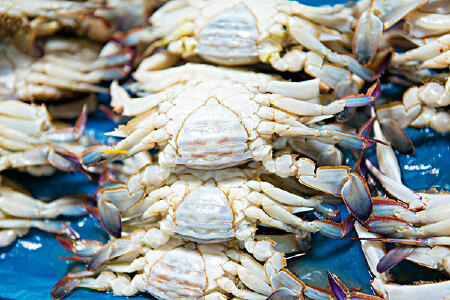food_picture